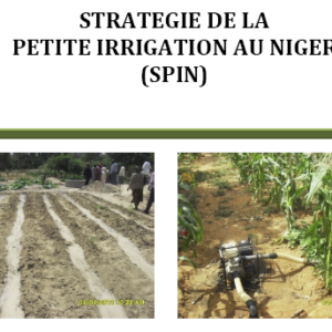 Stratégie de la petite irrigation